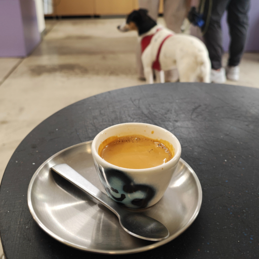 Image shared by user