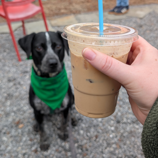 Image shared by user