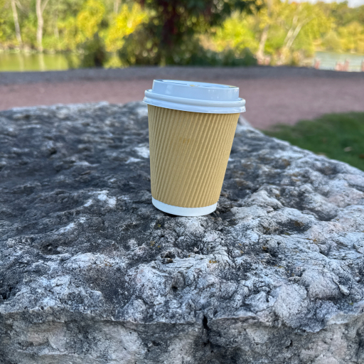 Image shared by user